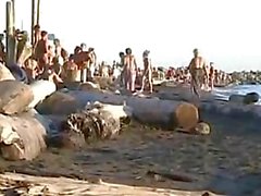 Strandvoyeure, die Nudisten ausspionieren