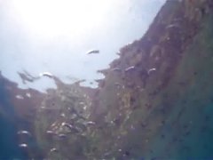 Рейдовика усыпальницы Лара Крофт под водой - Bianca Beauchamp [ HD720 ]