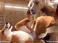3D de cheval anthro gaie et de Fox baiser