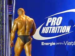 MUSCLEBULLS : Pro näring Stor Prix 2.014 på 100 kg Seniori