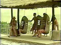 Thai Classic Siamkatzen de Tabu Película