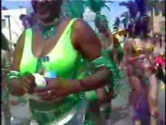Miamiclasificados Vicepresidenta - Carnaval 2 mil seis