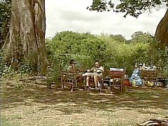 Bir DBM - Safari Parkı